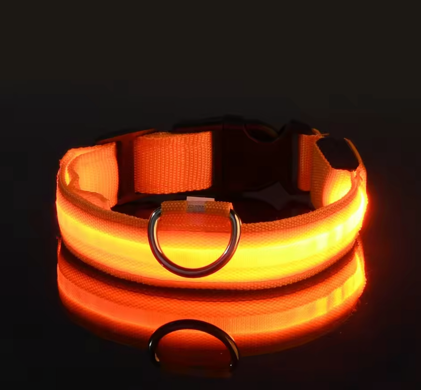 LED Night Flashing Dog Leash