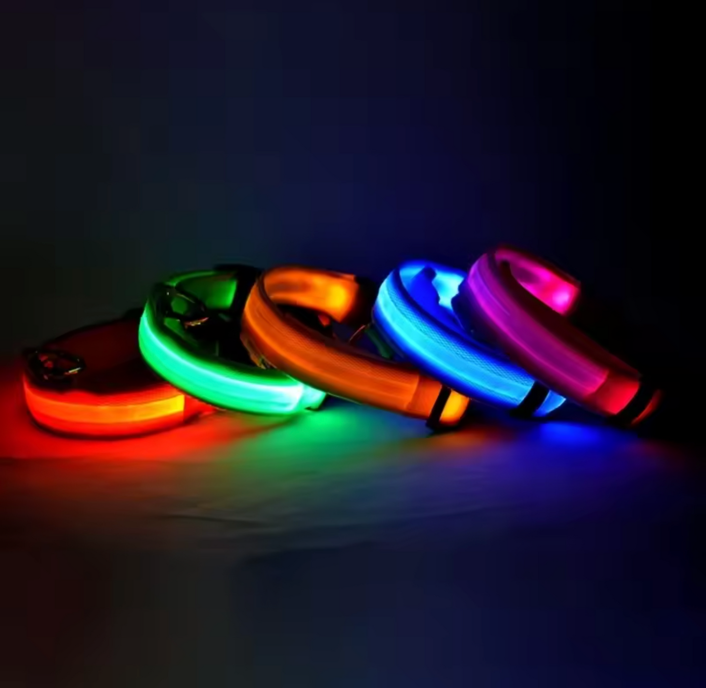 LED Night Flashing Dog Leash