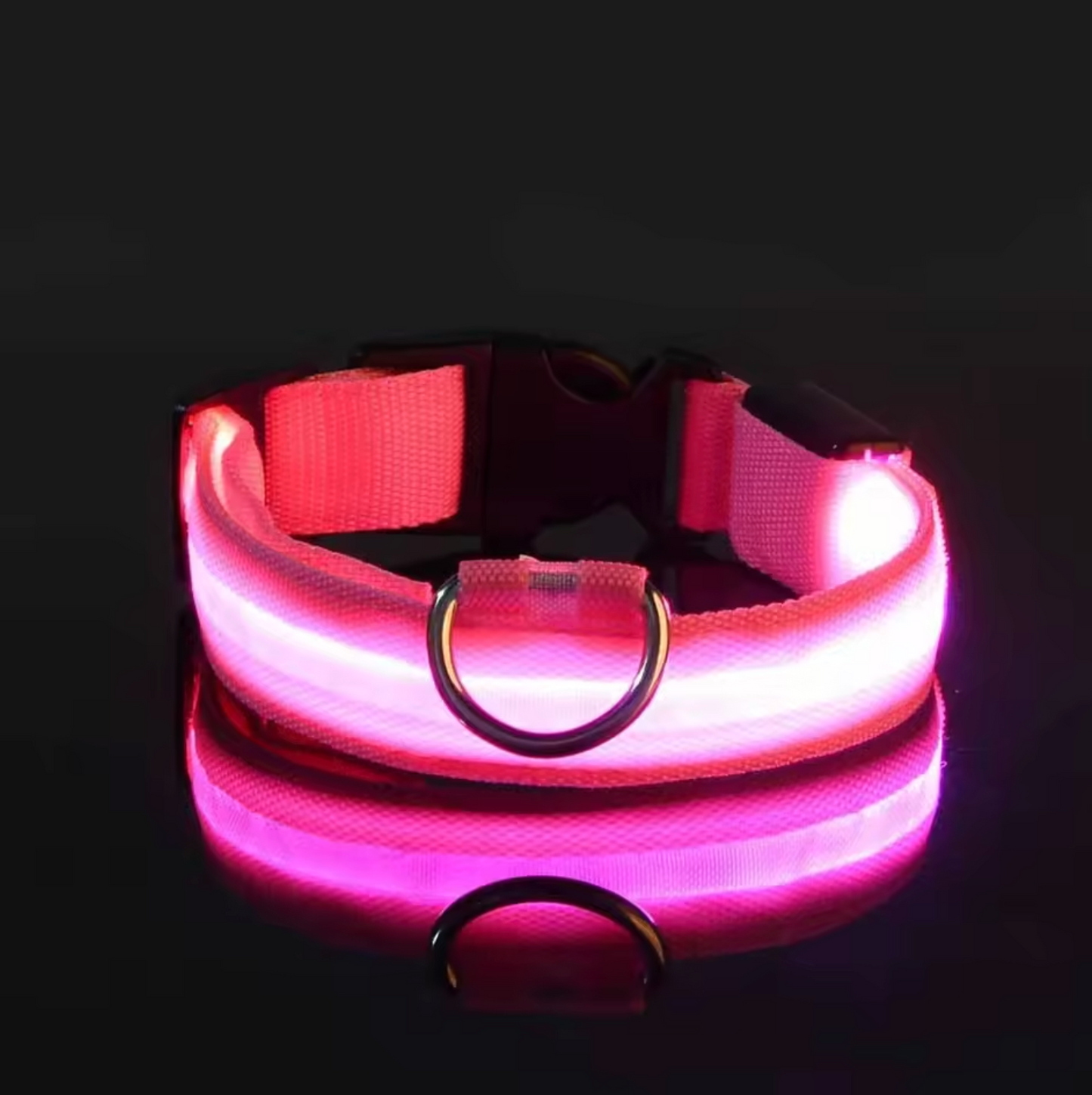 LED Night Flashing Dog Leash