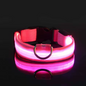 LED Night Flashing Dog Leash