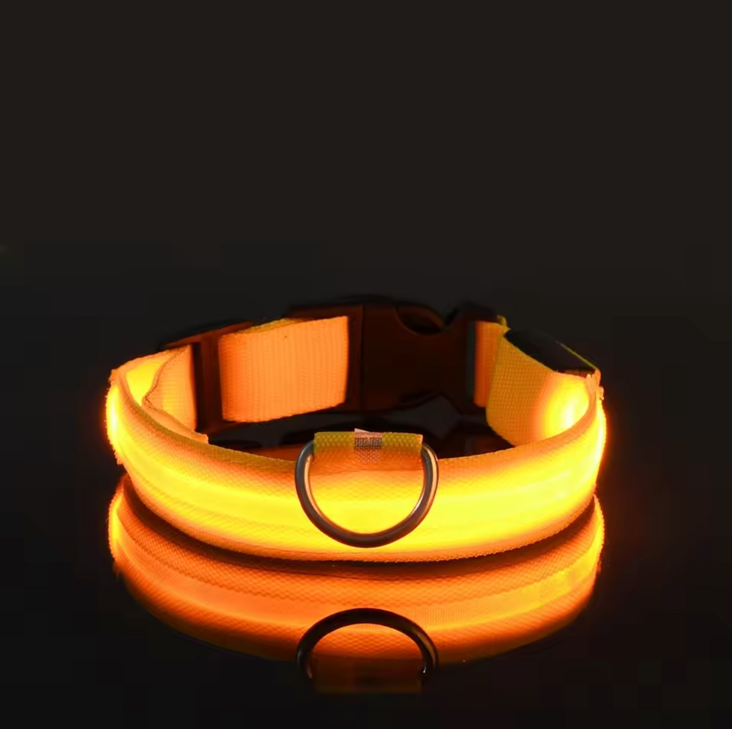 LED Night Flashing Dog Leash