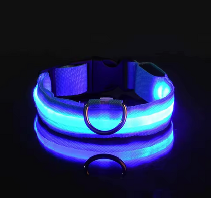 LED Night Flashing Dog Leash