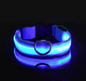 LED Night Flashing Dog Leash