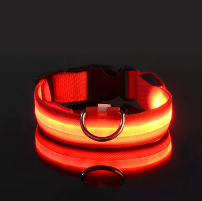 LED Night Flashing Dog Leash