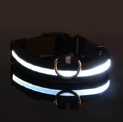 LED Night Flashing Dog Leash