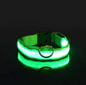 LED Night Flashing Dog Leash