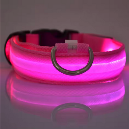 LED Night Flashing Dog Leash