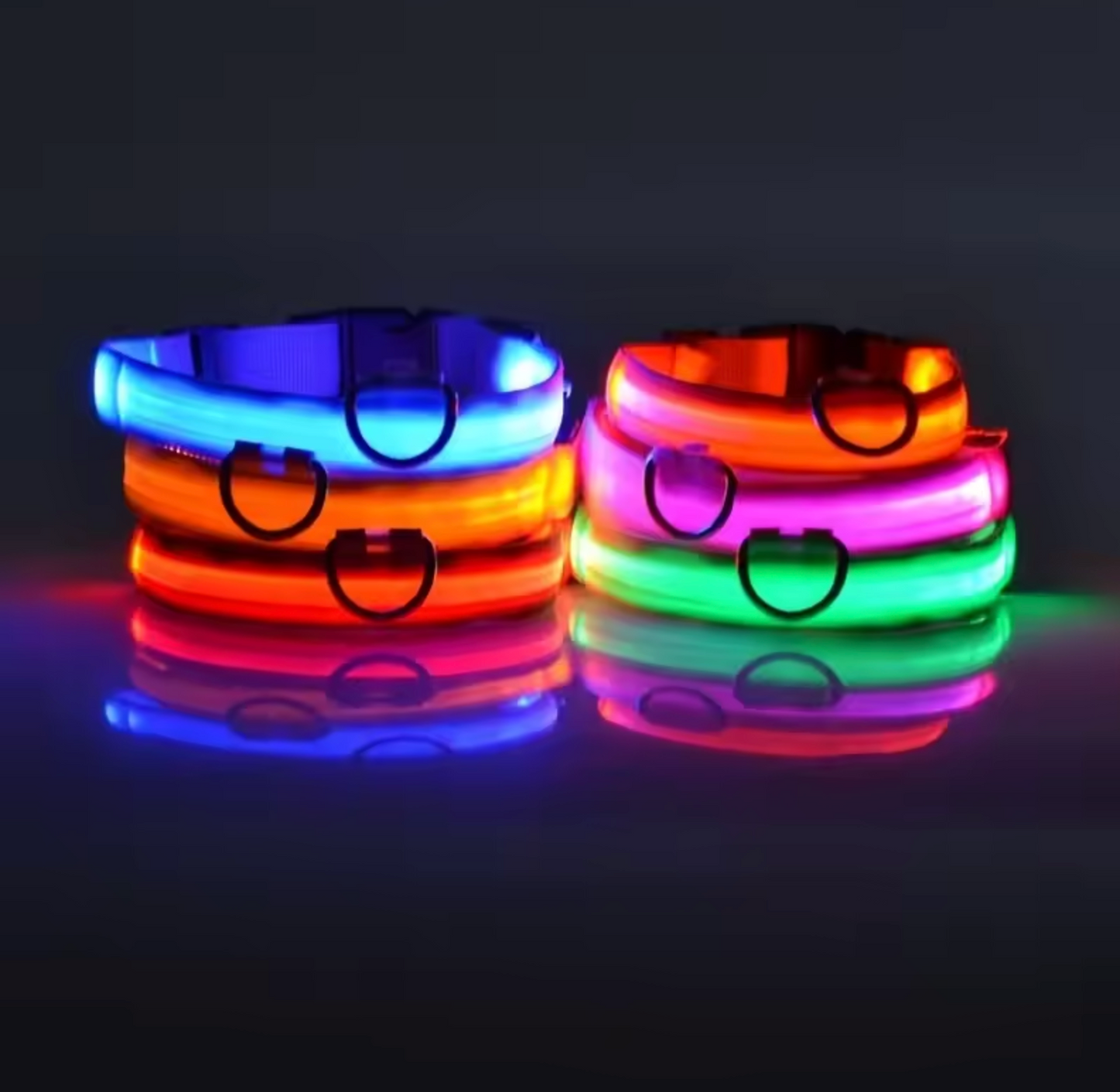 LED Night Flashing Dog Leash