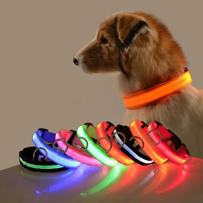 LED Night Flashing Dog Leash