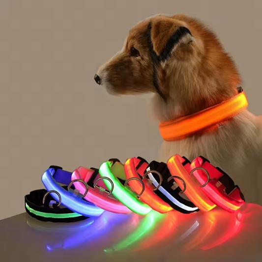 LED Night Flashing Dog Leash